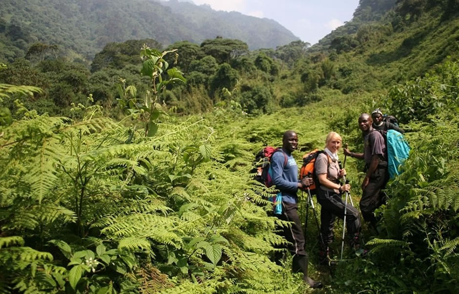 Ivy River Trail in Bwindi