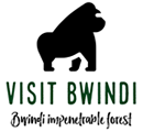Visit Bwindi