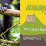 Uganda gorilla permit