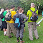 Gorilla Trekking in Bwindi