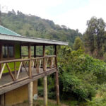 Bwindi Budget Travel