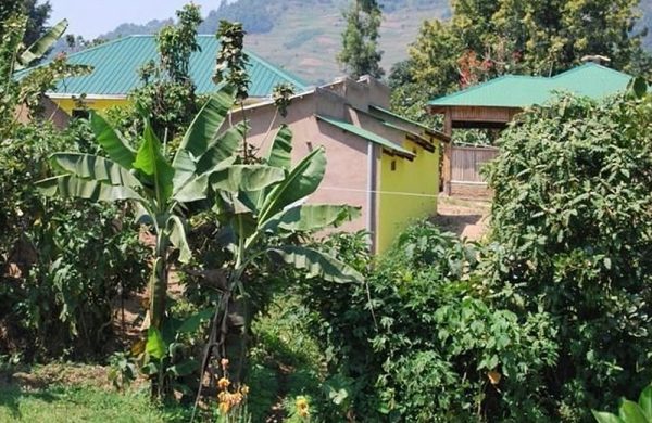 Wild Olives Lodge